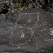 Three Rivers Petroglyphs (6112)