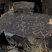 Three Rivers Petroglyphs (6115)