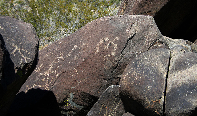 Three Rivers Petroglyphs (6116)