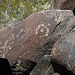 Three Rivers Petroglyphs (6116)