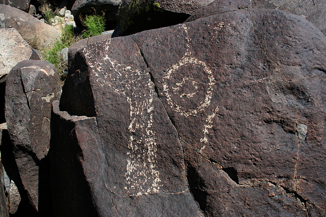 Three Rivers Petroglyphs (6128)