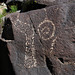 Three Rivers Petroglyphs (6128)