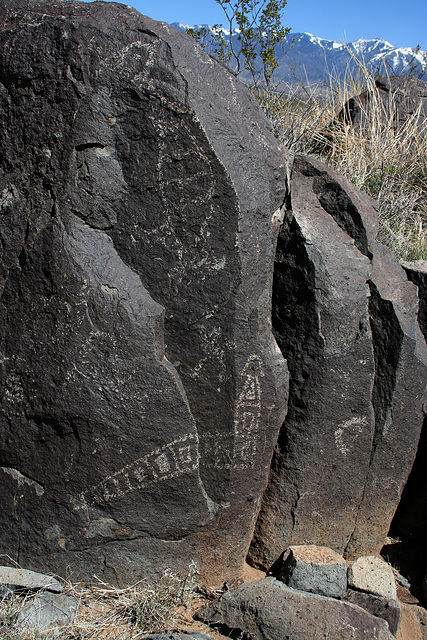 Three Rivers Petroglyphs (6132)