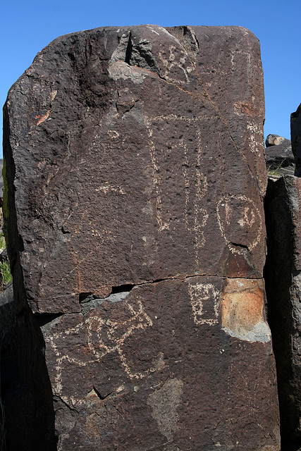 Three Rivers Petroglyphs (6136)