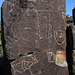 Three Rivers Petroglyphs (6136)
