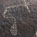 Three Rivers Petroglyphs (6139)