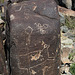 Three Rivers Petroglyphs (6140)