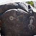 Three Rivers Petroglyphs (6142)