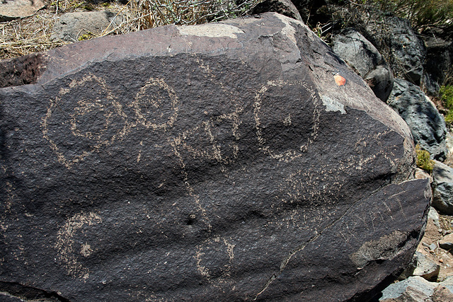 Three Rivers Petroglyphs (6145)