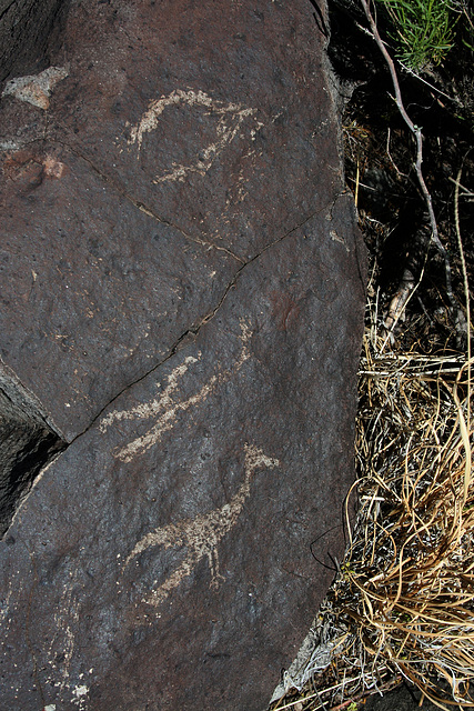 Three Rivers Petroglyphs (6147)