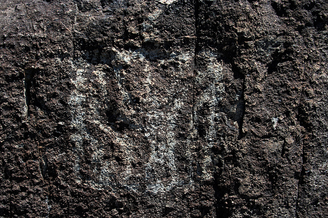 Three Rivers Petroglyphs (6150)