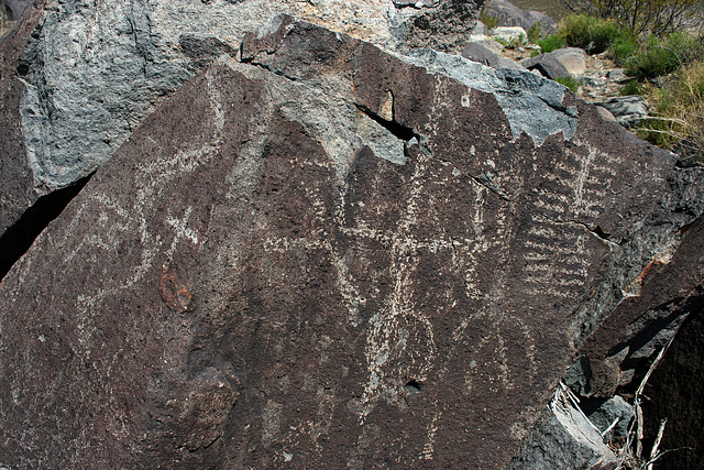 Three Rivers Petroglyphs (6151)