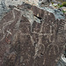 Three Rivers Petroglyphs (6151)