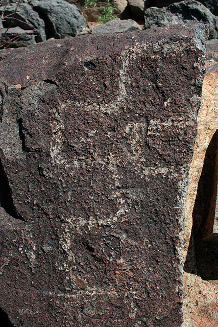Three Rivers Petroglyphs (6152)