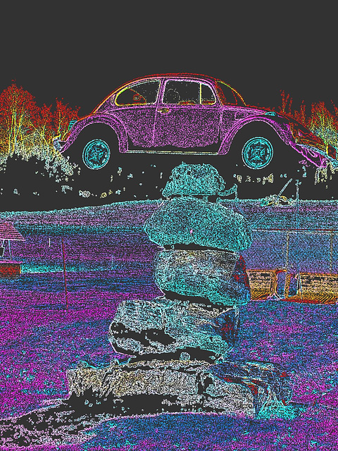 Coccinelle sur roches /  Beetle on the rocks  - Contours de couleurs en négatif