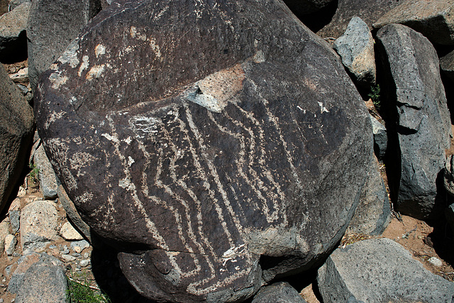 Three Rivers Petroglyphs (6156)