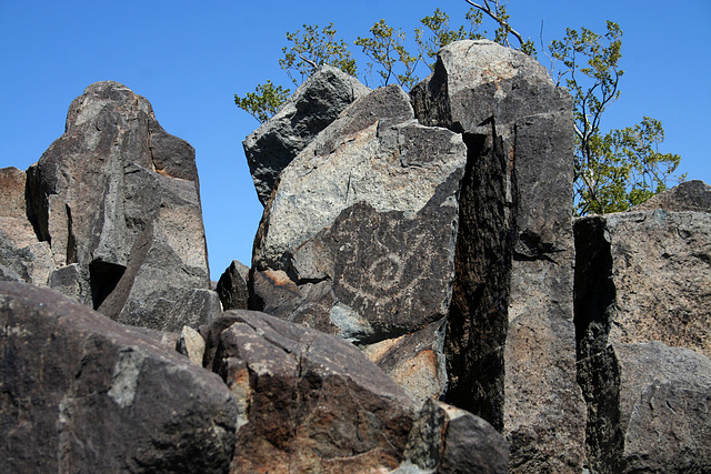 Three Rivers Petroglyphs (6160)