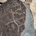 Three Rivers Petroglyphs (6161)