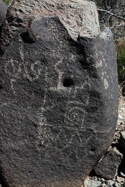 Three Rivers Petroglyphs (6164)