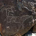 Three Rivers Petroglyphs (6165)