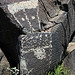 Three Rivers Petroglyphs (6167)