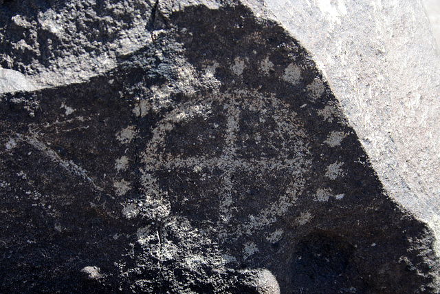 Three Rivers Petroglyphs (6172)