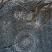 Marble Canyon - Graffiti (4643)