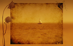 sailing away ~~~