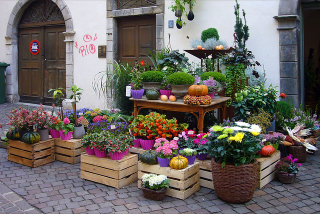 Gemüsemarkt - Pflanzen