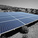 Solar Panels at Cabot's (6804A)