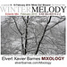 WinterMelody.Eclectic.WhiteOutBlizzard.February2010
