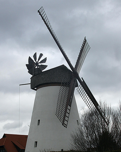 20100225 1480Aw [D~MI] Windmühle, Minden-Dützen