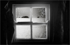 frosty window (pip)