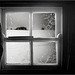 frosty window (pip)