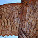 Galleta Meadows Estates Bird Sculpture (3664)