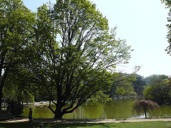 L'étang du Parc Montsouris