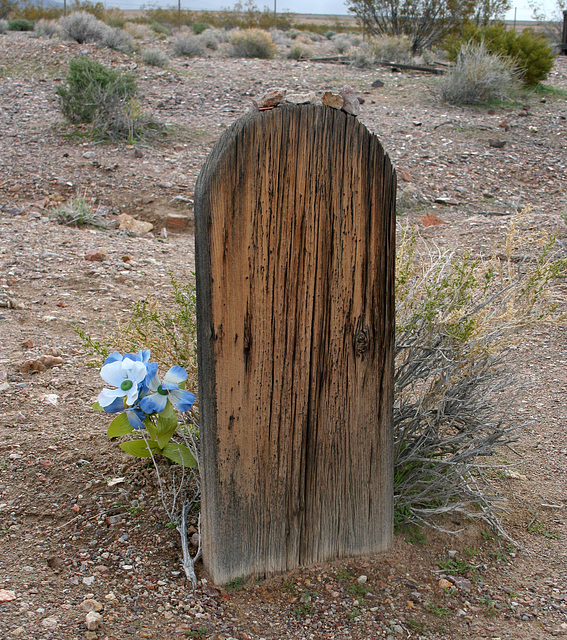 Rhyolite Cemetery (5252)