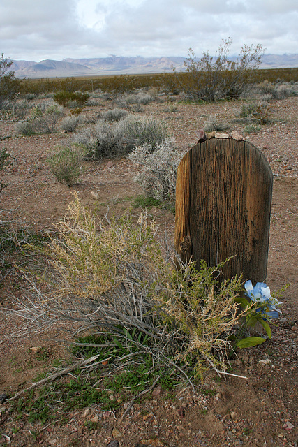 Rhyolite Cemetery (5253)