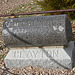Rhyolite Cemetery - Clayton (5277)