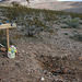 Rhyolite Cemetery - Outside The Fence (5306)