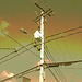 Photo électrique / Electric picture - Dans ma ville / Hometown.  24 avril 2010- Sepia postérisé