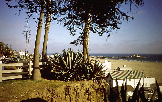 PICT0113 Santa Monica Beach