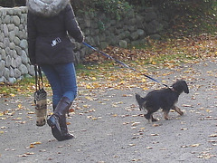 Bonheur canin avec bottes & jeans / Canine happiness with jeans & boots-  Anonymous version /  Version anonyme