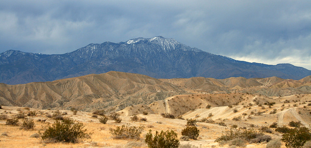 Mt San Jacinto (3760)