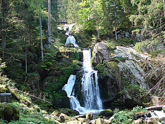 20070430 0282DSCw [D~VS] Triberger Wasserfälle, Triberg