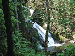 20070430 0285DSCw [D~VS] Triberger Wasserfälle, Triberg