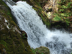20070430 0288DSCw [D~VS] Triberger Wasserfälle, Triberg