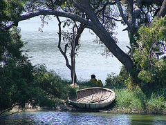 Lalbagh coracle