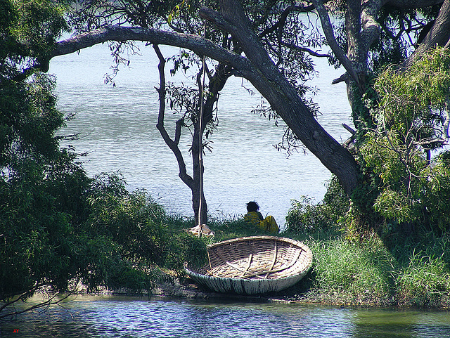 Lalbagh coracle