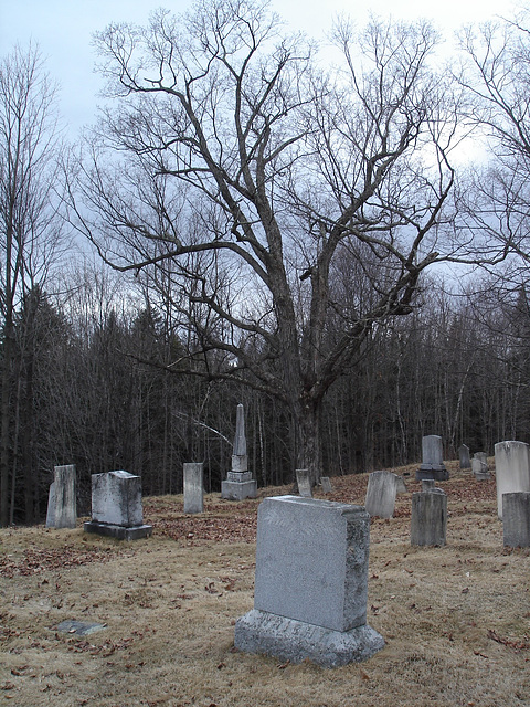 Newport center vault cemetery - Vermont USA .  28 mars 2010